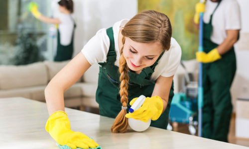 cleaning-services-professional-cleaners